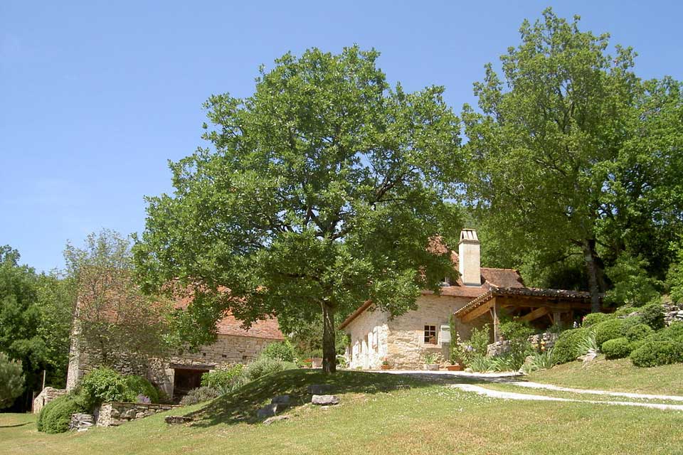 Garden-2