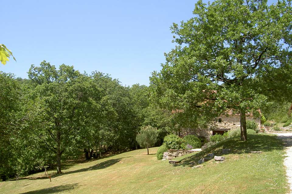 Garden-4