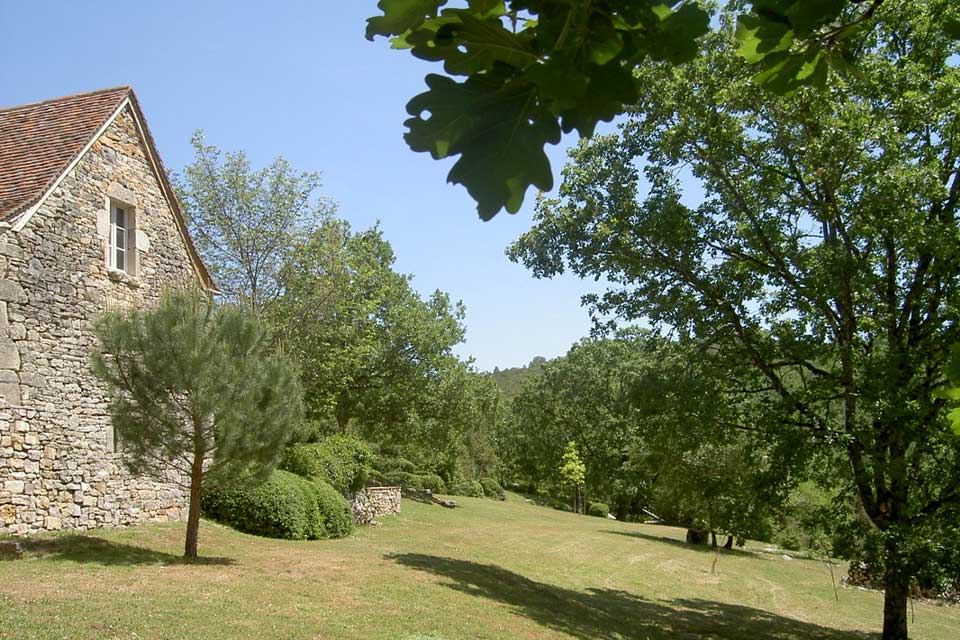 Garden-6